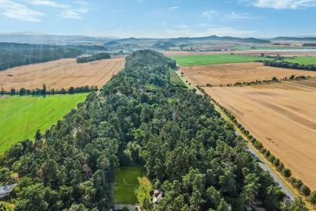 Luftaufnahme 1 - Grundstück kaufen in Quedlinburg - Waldgrundstück in Quedlinburg mit Gartenbungalow