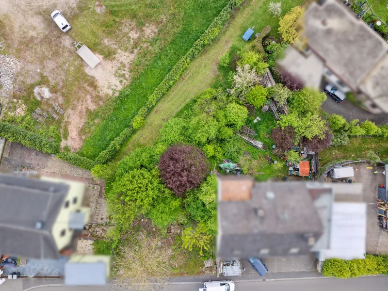 Grundstück 1 - Grundstück kaufen in Schweich - Klein aber fein - Grundstück mit Vorplanung für Wohn- und Praxishaus in Schweich