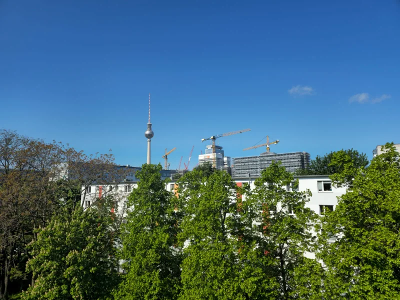 Ausblick vom Wohnzimmer