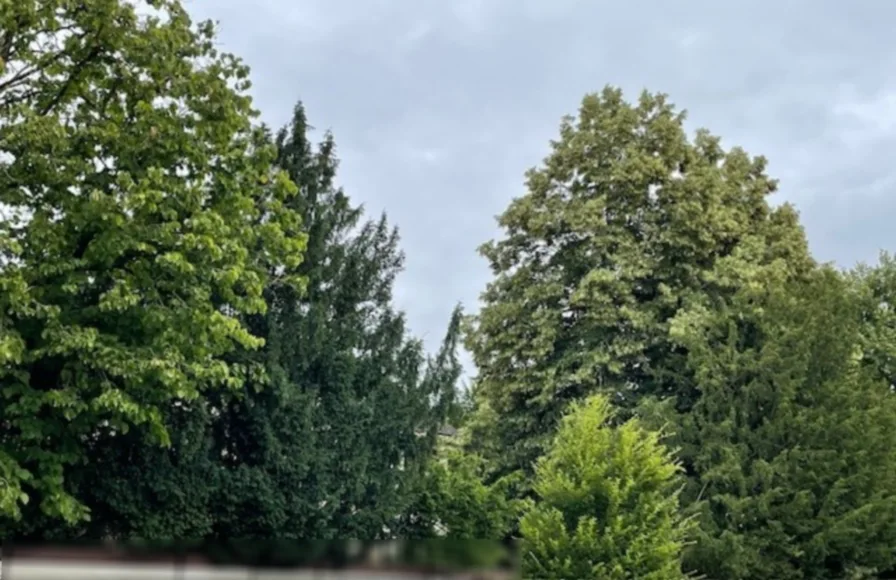 Titelbild - Wohnung kaufen in Saarlouis - Exklusive Neubauwohnungen in Saarlouis in ruhiger Lage Nähe Innenstadt