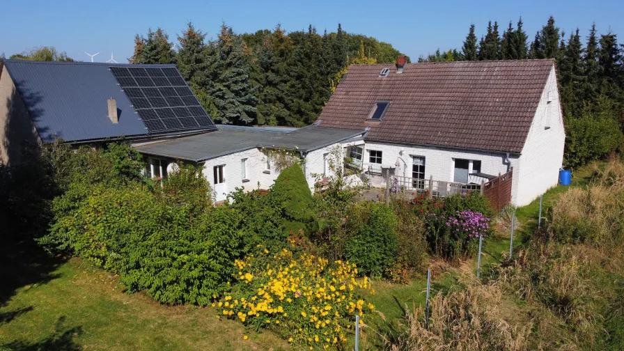 Titel - Haus kaufen in Grimmen - Familienidyll mit riesigem Grundstück und vielen Gestaltungsmöglichkeiten