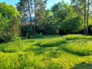 Garten mit Teich