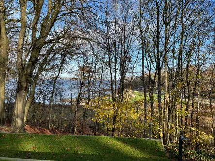 Blick von der Terrasse - Haus kaufen in Glücksburg - Exklusivität zwischen Wald und Meer in besonderer Lage von Glücksburg