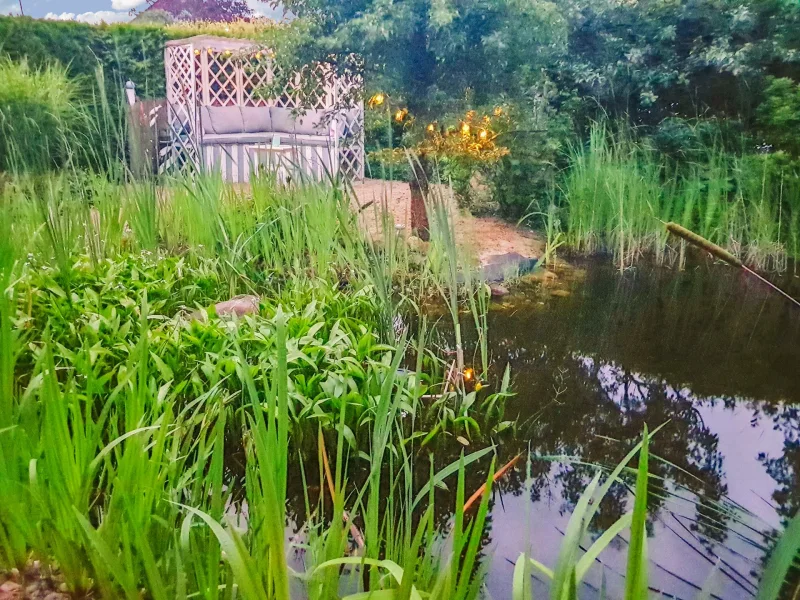 Sitzecke am Teich