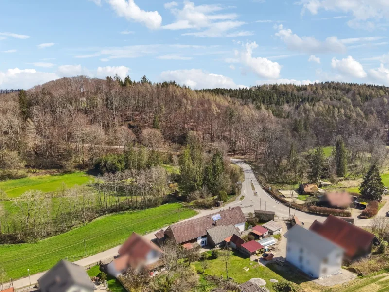 Titelbild - Haus kaufen in Boos - Allgäu: Doppelhaus mit zusätzlichem Bauplatz