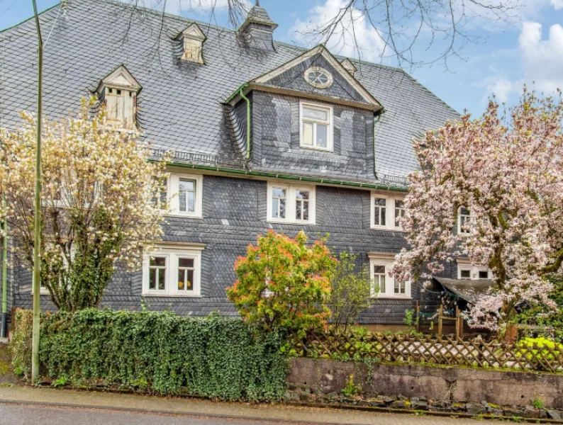 Hausansicht - Haus kaufen in Kreuztal - Einmalige Kombination aus 3-in-1 in 57223 Kreuztal-Ferndorf 