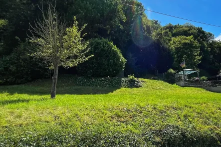 Grundstück Ansicht 1 - Grundstück kaufen in Sankt Goar - Gepflegtes Baugrundstück mit Rheinblick in Sankt Goar-Fellen 