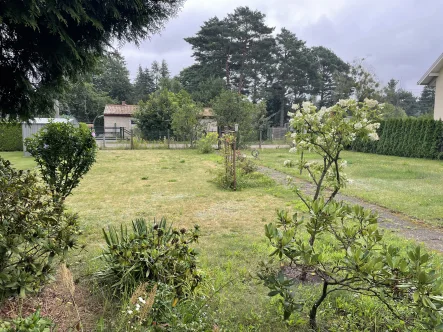 Hauptbild - Grundstück kaufen in Strausberg - Traumhaftes, helles Grundstück in ruhiger Lage von Strausberg/ Gartenstadt