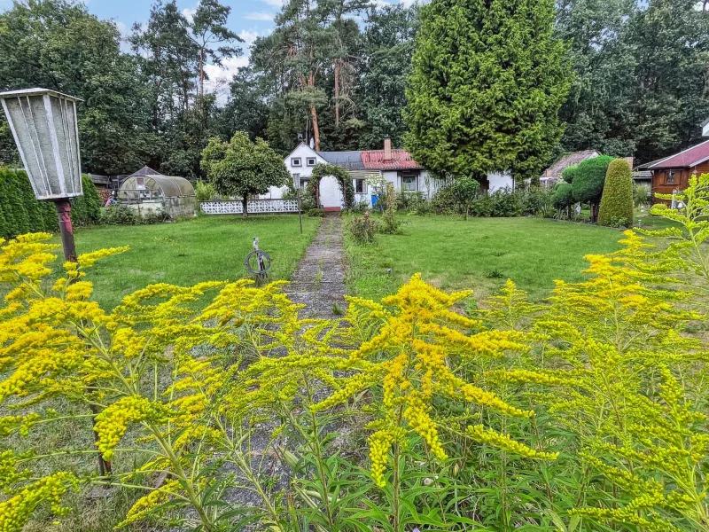 Titelbild - Grundstück kaufen in Strausberg - Traumhaftes Grundstück mit Altbestand in ruhiger Lage von Strausberg