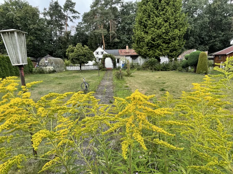 Blick von der Straße