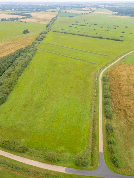 Flur 10 - Flurstück 9  - Grundstück kaufen in Oldersbek - Landwirtschaftliche Fläche Grünland in Oldersbek zu verkaufen  