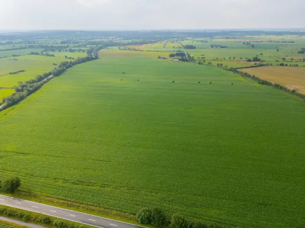 Flur 8 - Flurstück 19 - Grundstück kaufen in Oldersbek - Landwirtschaftliche Fläche Ackerland in Oldersbek zu verkaufen  