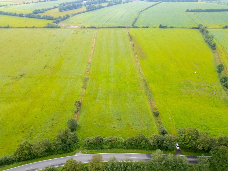 Flur 8 - Flurstück 9 - Grundstück kaufen in Oldersbek - Landwirte aufgepasst: Grünland in Oldersbek zu verkaufen!