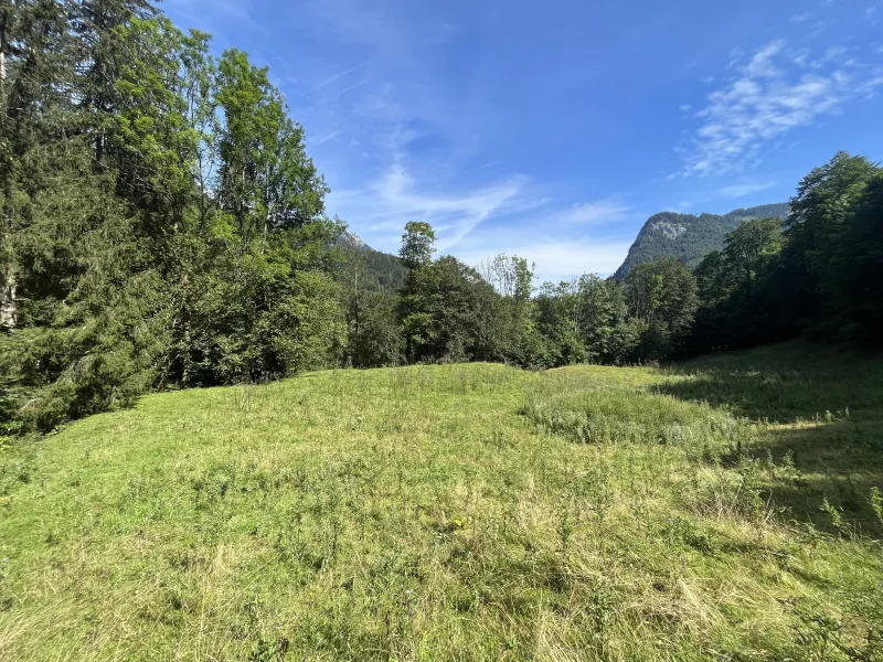 Ansicht - Grundstück kaufen in Aschau im Chiemgau (Sachrang) - Landwirtschaftliche Fläche samt Waldstreifen zwischen Aschau und Sachrang