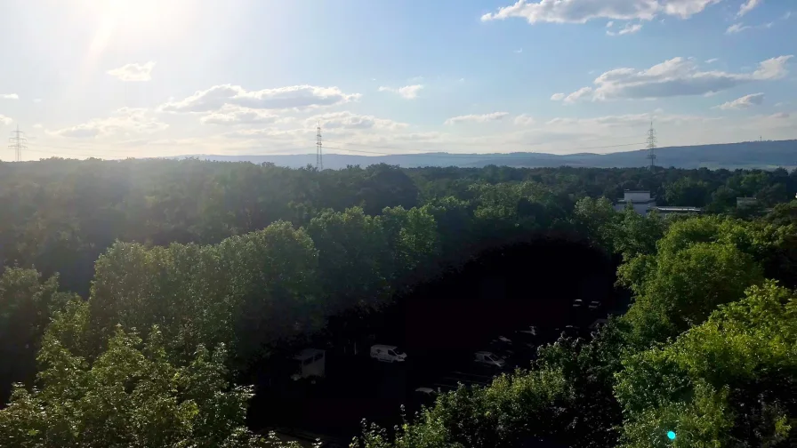 Weiter Ausblick ins Grüne