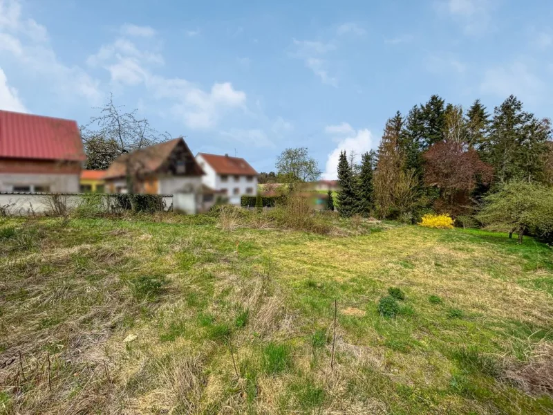 Grundstück gesamt - Grundstück kaufen in Lauf an der Pegnitz - Projektiertes Grundstück in Lauf a. d. Pegnitz - OT Kuhnhof