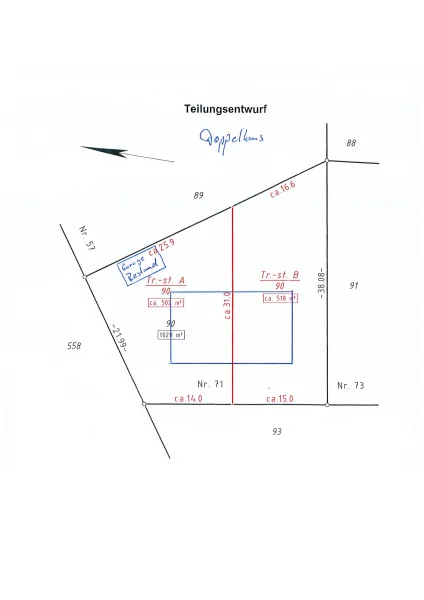 Teilungsentwurf