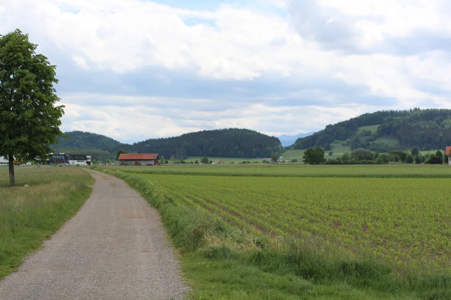 Blick Richtung Berge