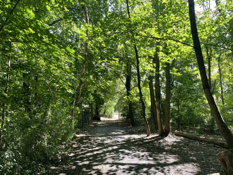 Naturschutzgebiet Fauler See