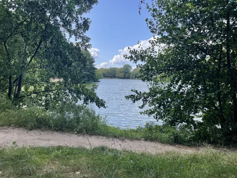 Blick auf den Obersee