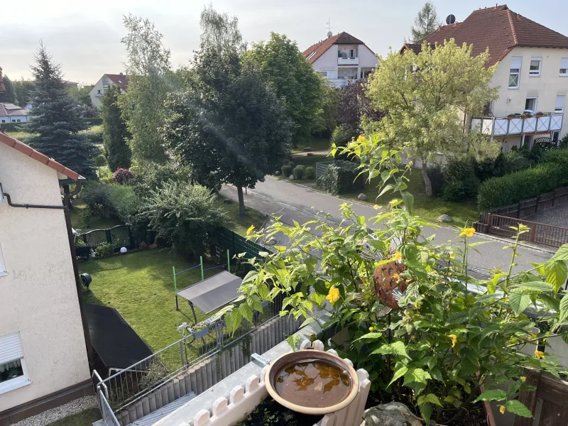 Blick vom Balkon