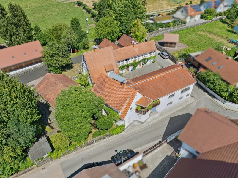 Titelbild - Haus kaufen in Fischbachtal - Eine Immobilie der besonderen Art - ehemalige Mühle mit viel Platz und Erträgen im Fischbachtal