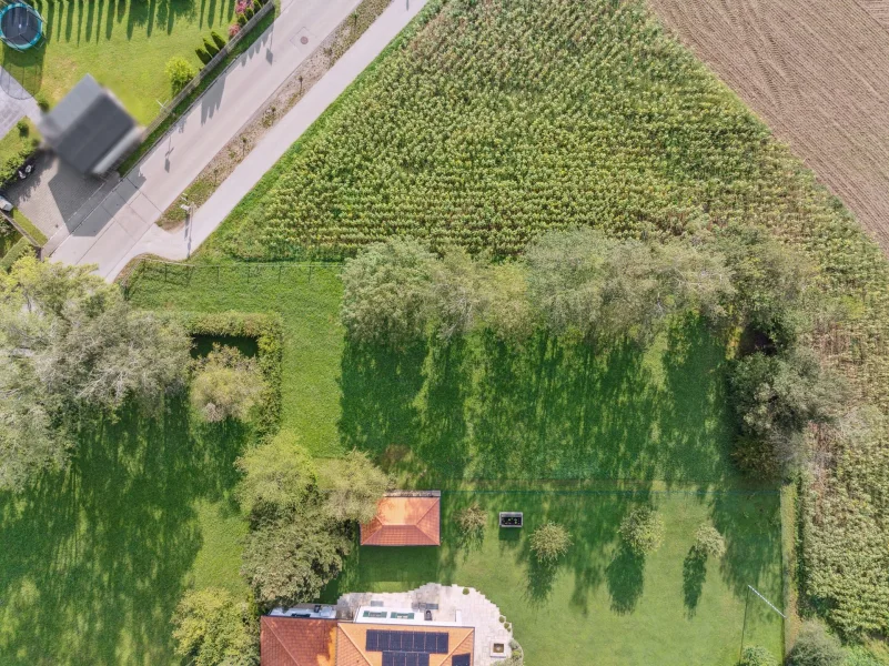 Ansicht - Grundstück kaufen in Straßlach-Dingharting - Hammergrundstück zur Neubebauung mit einem Einzelhaus in Hailafing bei Straßlach-Großdingharting