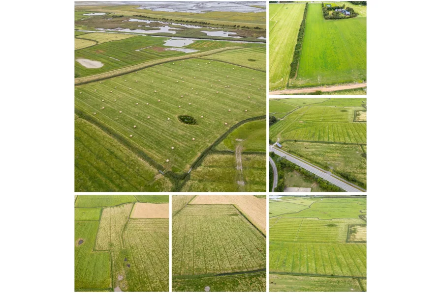 Titelbild - Grundstück kaufen in Sankt Peter-Ording - Landwirtschaftliche Flächen in Sankt Peter-Ording zu verkaufen