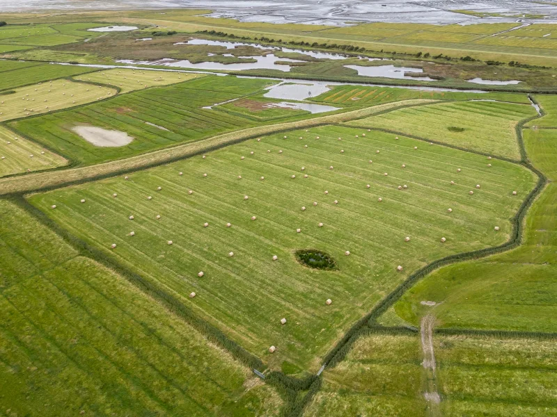 Titelbild - Grundstück kaufen in Sankt Peter-Ording - Grünland in Sankt Peter-Ording zu verkaufen