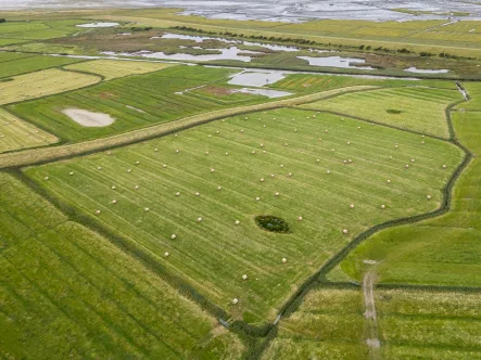 Titelbild - Grundstück kaufen in Sankt Peter-Ording - Grünland in Sankt Peter-Ording zu verkaufen