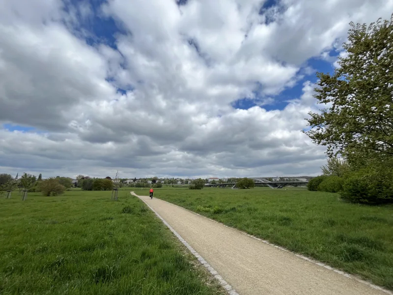 Blick zur Elbe