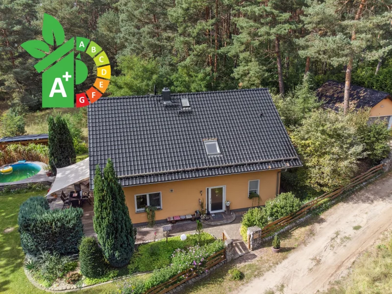 Ansicht - Haus kaufen in Beelitz - Modernes Einfamilienhaus mit 5 Zimmern in ruhiger Waldlage von Beelitz