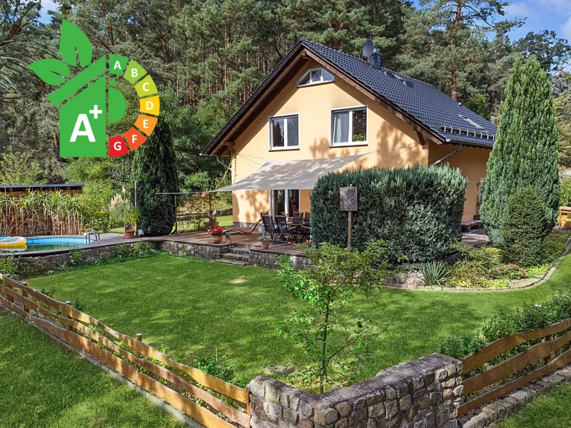 Ansicht - Haus kaufen in Beelitz - Modernes Einfamilienhaus mit 5 Zimmern in ruhiger Waldlage von Beelitz