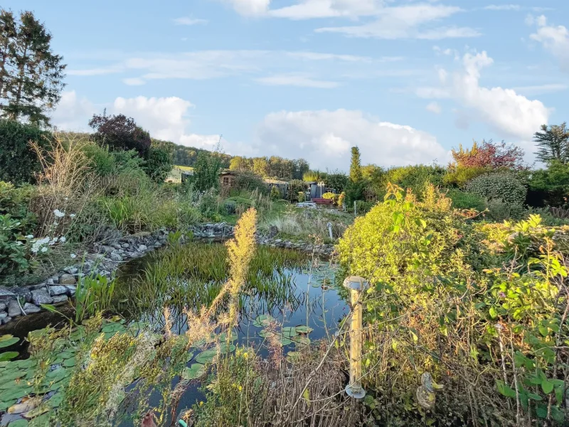 Garten mit Teich