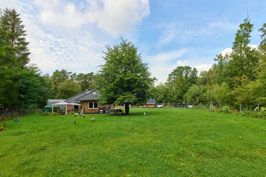 Rückansicht  - Haus kaufen in Buchholz in der Nordheide - Modernes Wohnen im Grünen – Bungalow auf ca. 3.338 m² Grundstück in Buchholz Suerhop