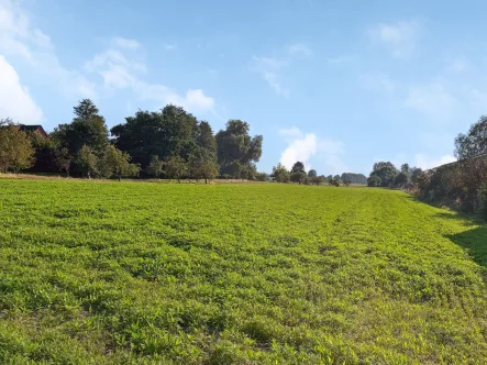 Titelbild - Grundstück kaufen in Winsen - Ca. 12.000 m² Investitionsfläche mit Umnutzungspotenzial in 2. Reihe– Beliebte Lage Hoopter Elbdeich