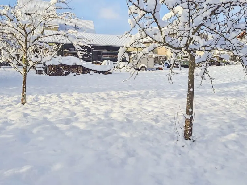 Winter Grundstück