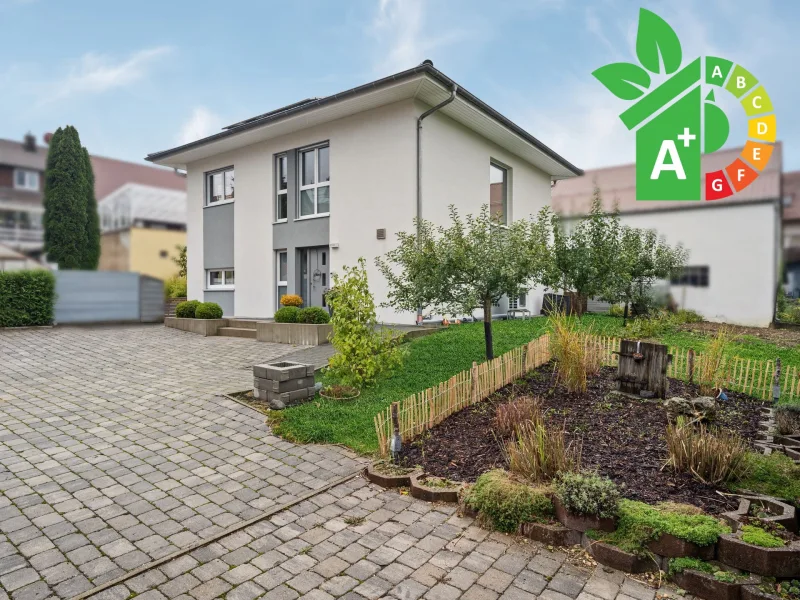 Ansicht - Haus kaufen in Steinheim - Söhnstetten - Familienparadies: Modernes Einfamilienhaus mit Terrasse und umweltfreundlicher Technik 