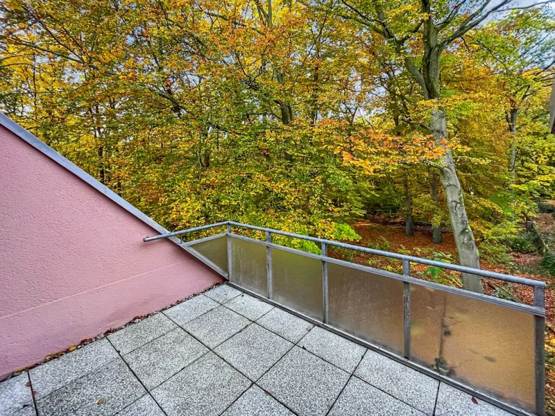 Ausblick vom Balkon_1