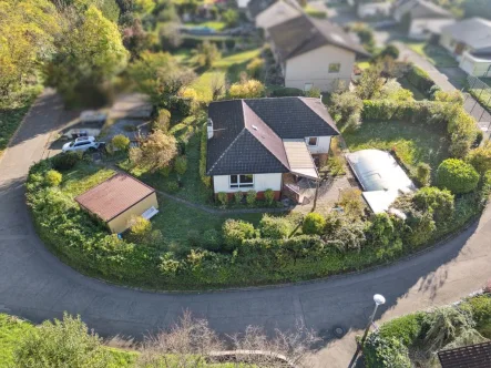 Grundstücksansicht - Haus kaufen in Grenzach-Wyhlen - Toller Bungalow auf Keller in Grenzach-Wyhlen