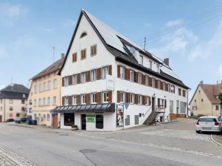 Außenansicht 1 - Haus kaufen in Horb am Neckar - Charmantes Mehrfamilienhaus mit Gewerbeeinheit und Produktionshalle