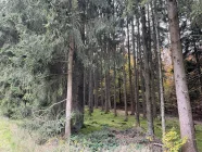 Waldgrundstück