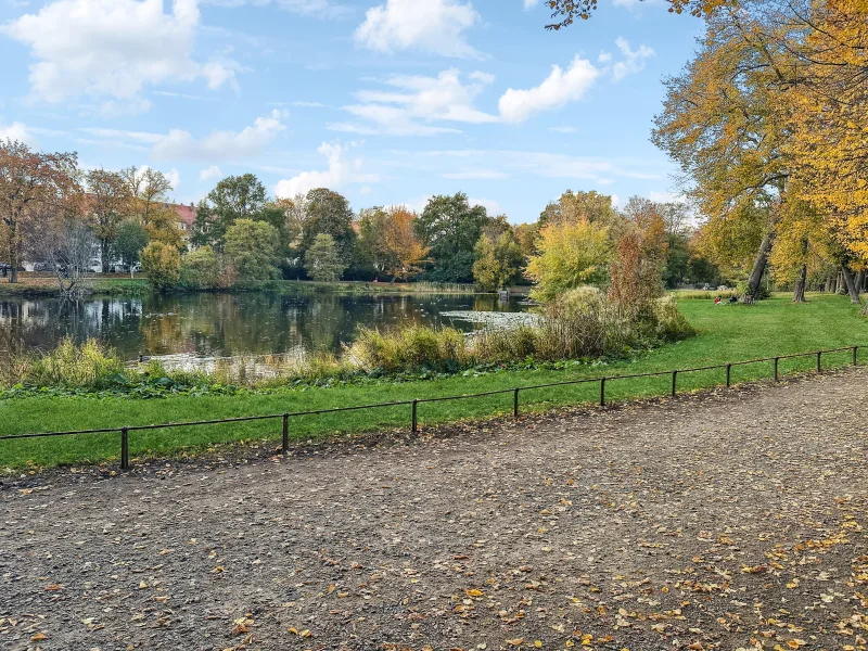 Blick in den Park