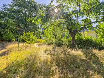 Grundstück - Grundstück kaufen in Stahnsdorf - Bauträgerfrei! Ca. 1.200 m² großes Grundstück in ruhiger zweiter Reihe im beliebten Stahnsdorf!