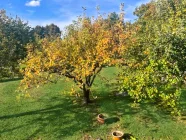 Blick von der Terrasse