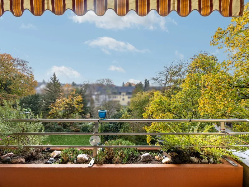 Aussicht - Wohnung kaufen in Trier - Mittendrin und dennoch ruhiges Wohnen für Jung und Alt - 4-Zimmer-Wohnung in Trier