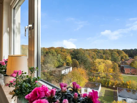 Ausblick - Wohnung kaufen in Rendsburg - Gepflegte 2-Zimmer-Wohnung mit Balkon und tollem Ausblick als Kapitalanlage in Rendsburg-Schleife