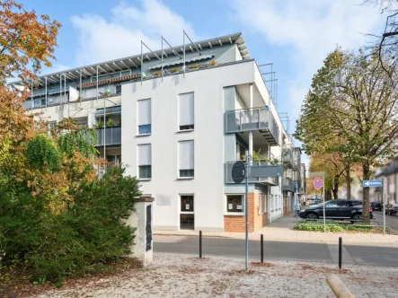 Titelbild - Wohnung kaufen in Frankenthal - Die besondere Eigentumswohnung mit der Möglichkeit für betreutes Wohnen in Frankenthal