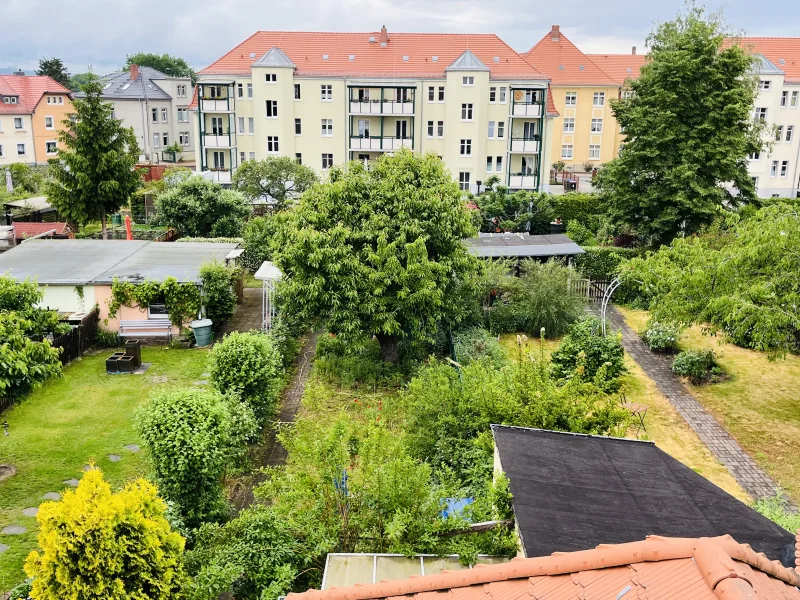 Blick über den Garten