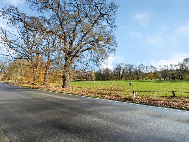 Blick von der Straße